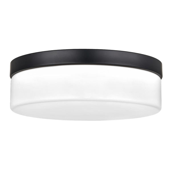 Sleep Scenic Dreams Surface Mounted Cylindrical Ceiling Light