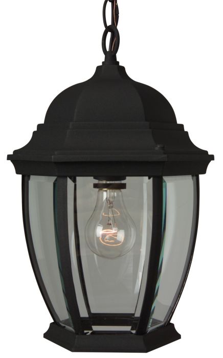 Bent Glass Cast 1 Light Outdoor Pendant in Textured Black