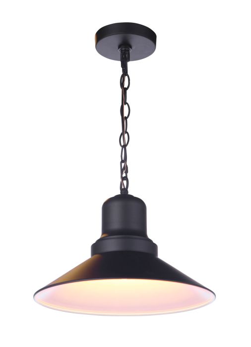 Singleton 1 Light 14" Outdoor Pendant in Midnight