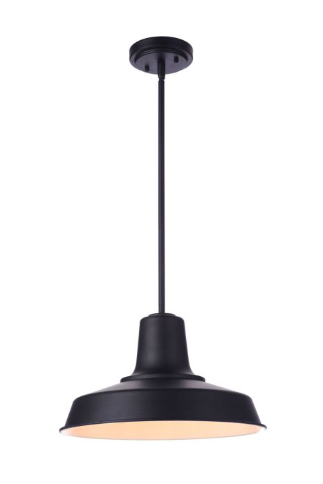 Briscoe 1 Light 15" Outdoor Pendant in Midnight