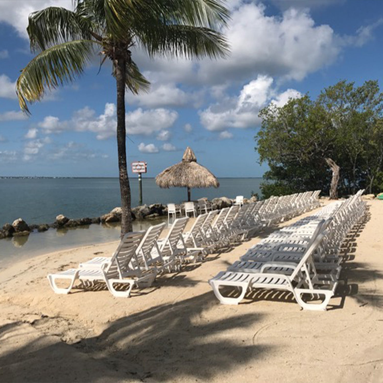 Bahia Chaise Lounge
